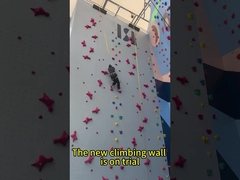 Τυποποιημένη εσωτερική επιτροπή τοίχων ταχύτητας αναρρίχησης βράχου αυτόματο Belay αδιάβροχο